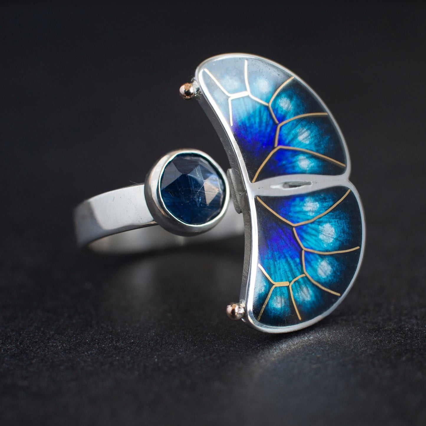 Cloisonne Enamel Set "Butterfly" With Kyanite And Gold